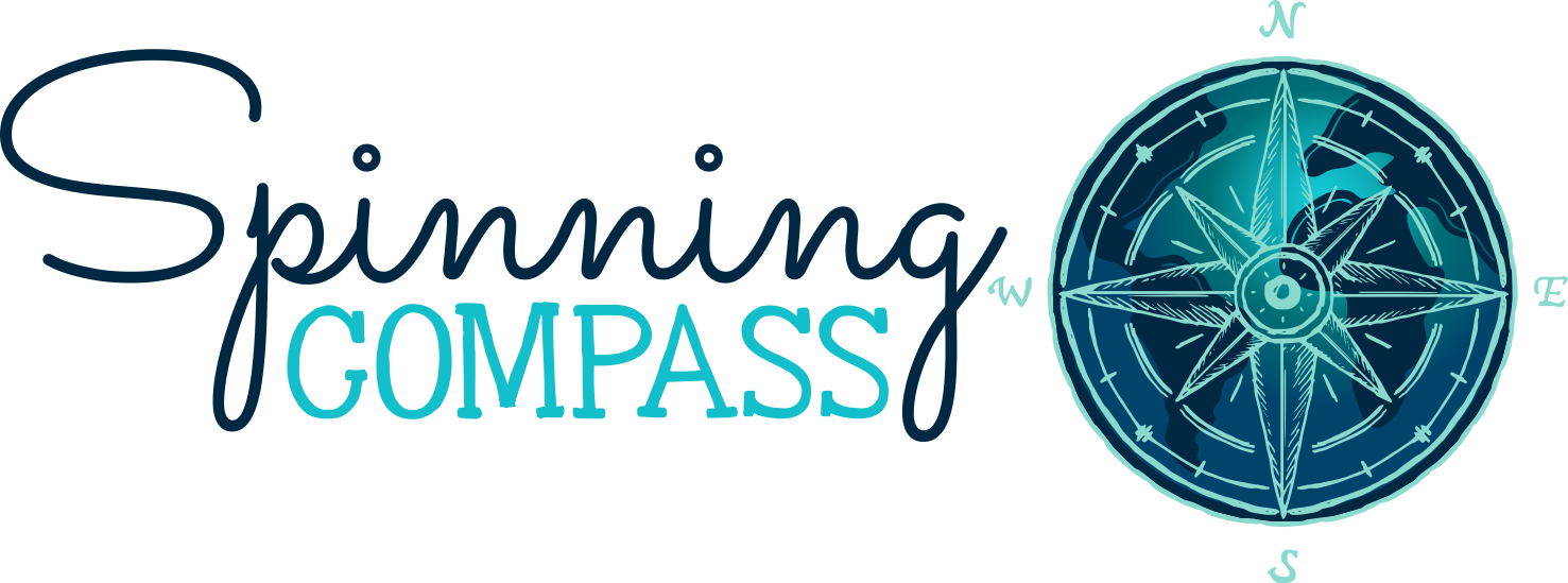 A Spinning Compass