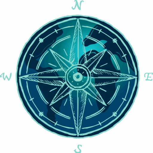 A Spinning Compass